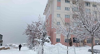 Van güne kar yağışıyla uyandı