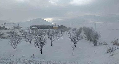 Van'da ağaçlar kırağı tuttu