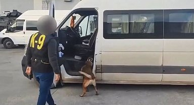 Van'da gümrük kaçakçılığı operasyonları