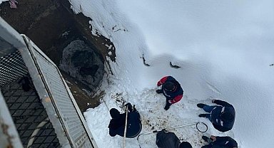 Van'da kuyuya düşen köpeği itfaiye ekipleri kurtardı