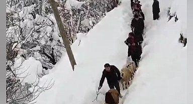 Vatandaşlar sürü ile birlikte kuzuları kucaklarında taşıdılar