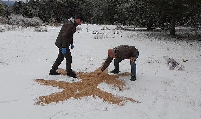 Yaban hayatı unutulmadı