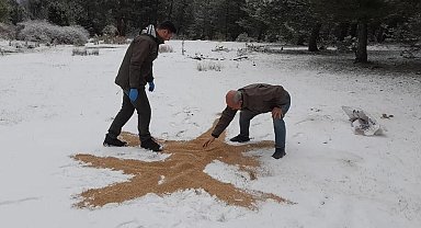 Yaban hayatı unutulmadı