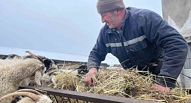 Yağan kar ve ayazla birlikte besicilerin işleri güçleşti