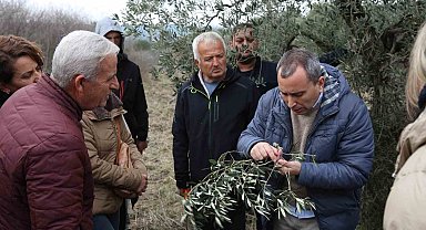 Yaşam Köyü Toprak Okulundaki zeytin budama eğitimlerine yoğun ilgi
