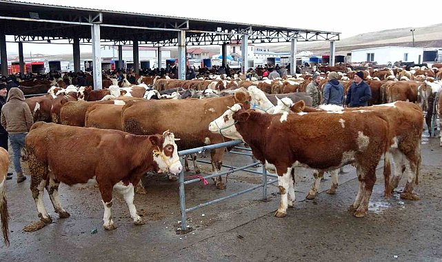 Yozgat'ta canlı hayvan pazarları tedbir amaçlı kapatılacak