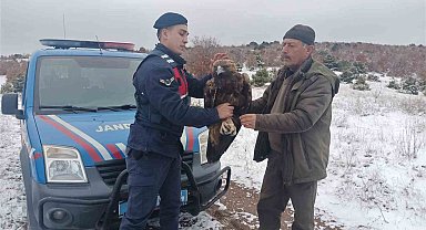 Yozgat'ta jandarmanın bulduğu yaralı şah kartalı tedaviye alındı
