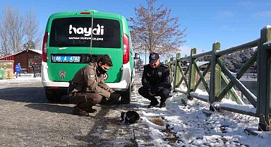 Yozgat'ta polis ekipleri sokak hayvanlarını unutmadı