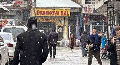 Yüksekova'da kar yağışı
