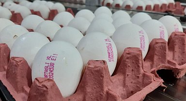 Yumurta fiyatlarının yükselmesinde üreticiler aracıları sorumlu tuttu