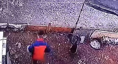 Yumurta hırsızının rahatlığı 'pes' dedirtti