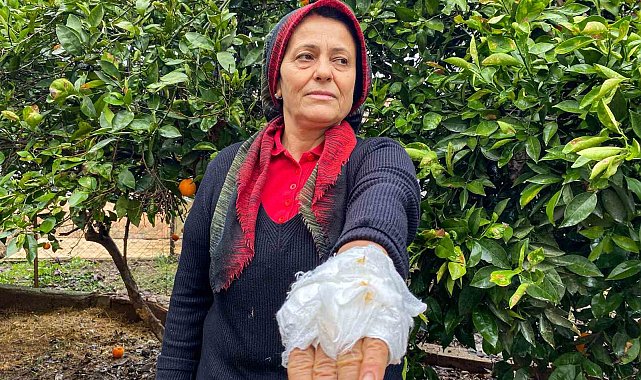 Yumurta toplamak için bahçeye giren kadın, dobermanın saldırısına uğradı