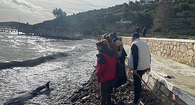 Yunusu kurtarmak için saatlerce uğraştılar