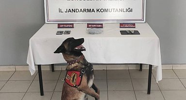 Zonguldak'ta jandarmadan uyuşturucu operasyonu