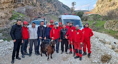 100 metre yükseklikte nefes kesen keçi kurtarma operasyonu