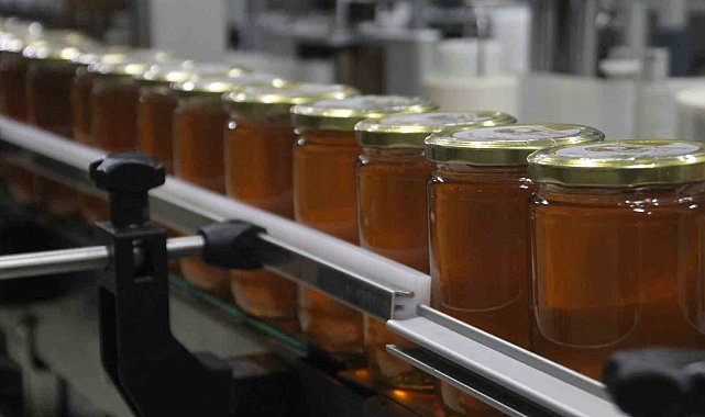 'Sahte ballar arıcılık sektörünü tehlikeye düşürüyor'