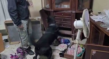 Adana'da "Narkogüç-48" operasyonu: 16 gözaltı