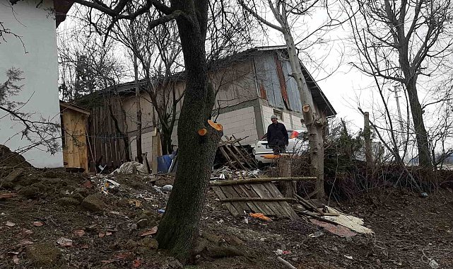 Ağaç budarken kafasına dal düştü, yaralandı