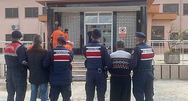 Alanya'da 15 kasa avokado çalan 2 hırsız yakalandı