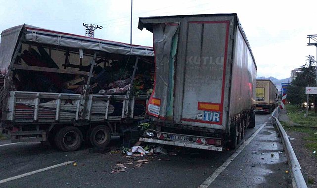 Artvin'de sebze yüklü kamyonet park halindeki TIR'a çarptı: 2 yaralı