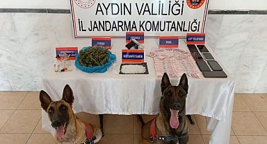 Aydın'da 48 zehir taciri yakalandı