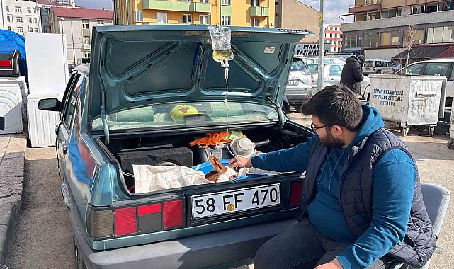 Bagajda tedavi gören buzağı yüzleri gülümsetti