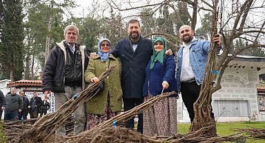 Balıkesir Büyükşehir'den Sındırgı'ya 16 bin ceviz ve badem fidanı