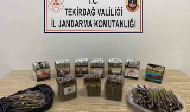 Bandrolsüz puroya 16 bin lira ceza