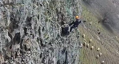 Batman'da 5 gün kayalıklarda mahsur kalan keçi kurtarıldı