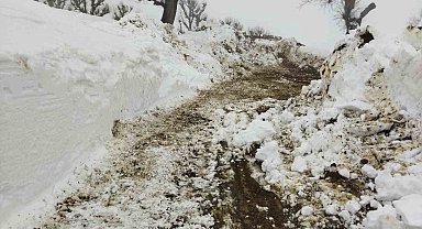 Batman'da kar nedeniyle kapalı 227 yol ulaşıma açıldı
