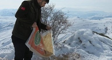Bayburt'ta yaban hayvanları için doğaya yem bırakıldı