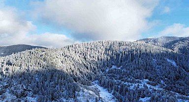 Beyaza bürünen Ilgaz Dağı'nın eteklerindeki yaylalarda kartpostallık görüntüler ortaya çıktı