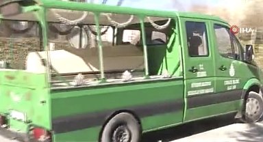 Beylikdüzü'nde 4 yaşındaki oğlunu öldüren anneye akıl sağlığı yerinde olmadığı gerekçesiyle ceza verilmedi