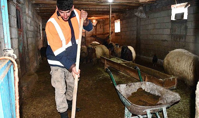 Beytüşşebap'ta besicilerin zorlu kış mesaisi sürüyor