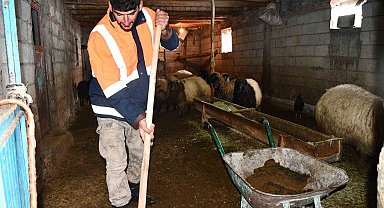 Beytüşşebap'ta besicilerin zorlu kış mesaisi sürüyor