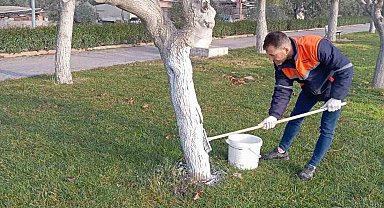 Buharkent Millet Bahçesi yaza hazırlanıyor
