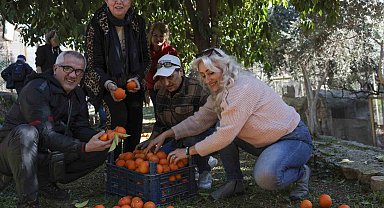 Büyükşehir turunçları reçele dönüştürüyor