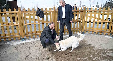 Büyükşehir'in köpek eğitim parkuru Mİllet Bahçesi'nde hizmete hazır