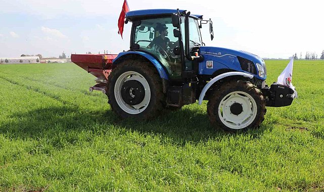 Büyükşehrin ektiği buğdaya gübre atıldı