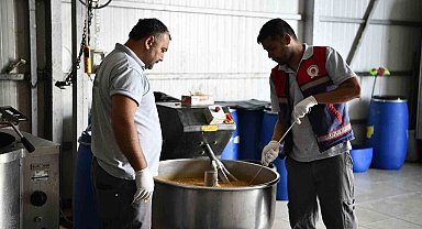 Can dostlar için bir yılda 190 ton mama üretildi