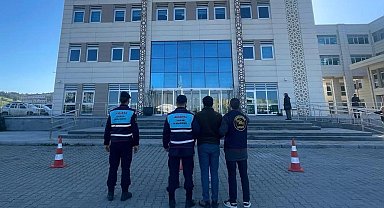 Çanakkale'de 1 koç ve 3 koyun çalan 2 şüpheli jandarma tarafından yakalandı