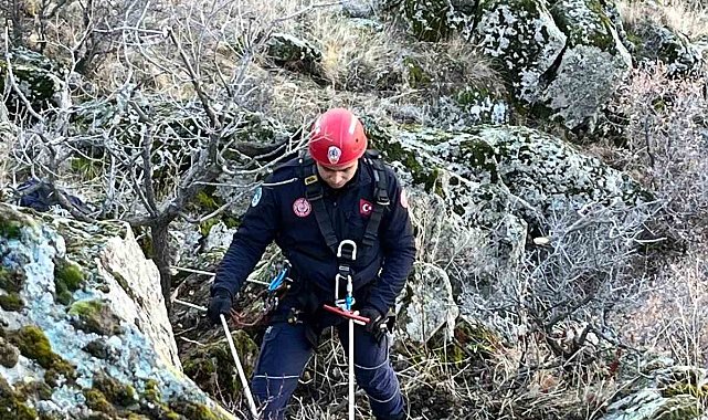 Dağlık alanda uçuruma yuvarlanan 5 keçiyi itfaiye kurtardı