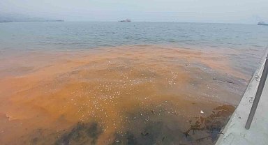 Denizde turuncu renk ve denizanası istilası