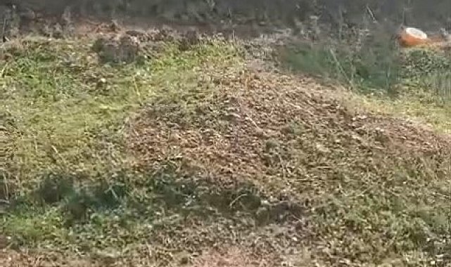 Direksiyonda uyuyakaldı, otomobil takla attı