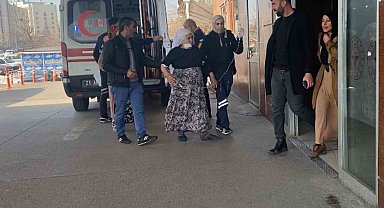 Diyarbakır'da 72 yaşındaki kadın besledikleri köpeğin saldırısına uğradı
