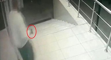 Diyarbakır'da düğün salonunda dehşet saçan sanığa 15 yıldan 26 yıla kadar hapis talebi