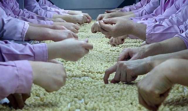 Düzce'den 2 bin 294 ton fındık ihraç edildi