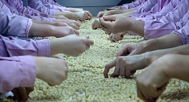 Düzce'den 2 bin 294 ton fındık ihraç edildi