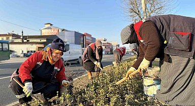 Düzce'yi kadınlar güzelleştiriyor