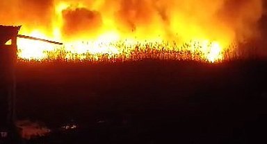 Eber Gölü'nde sazlık alanda yangın çıktı, alevler metrelerce yükseldi